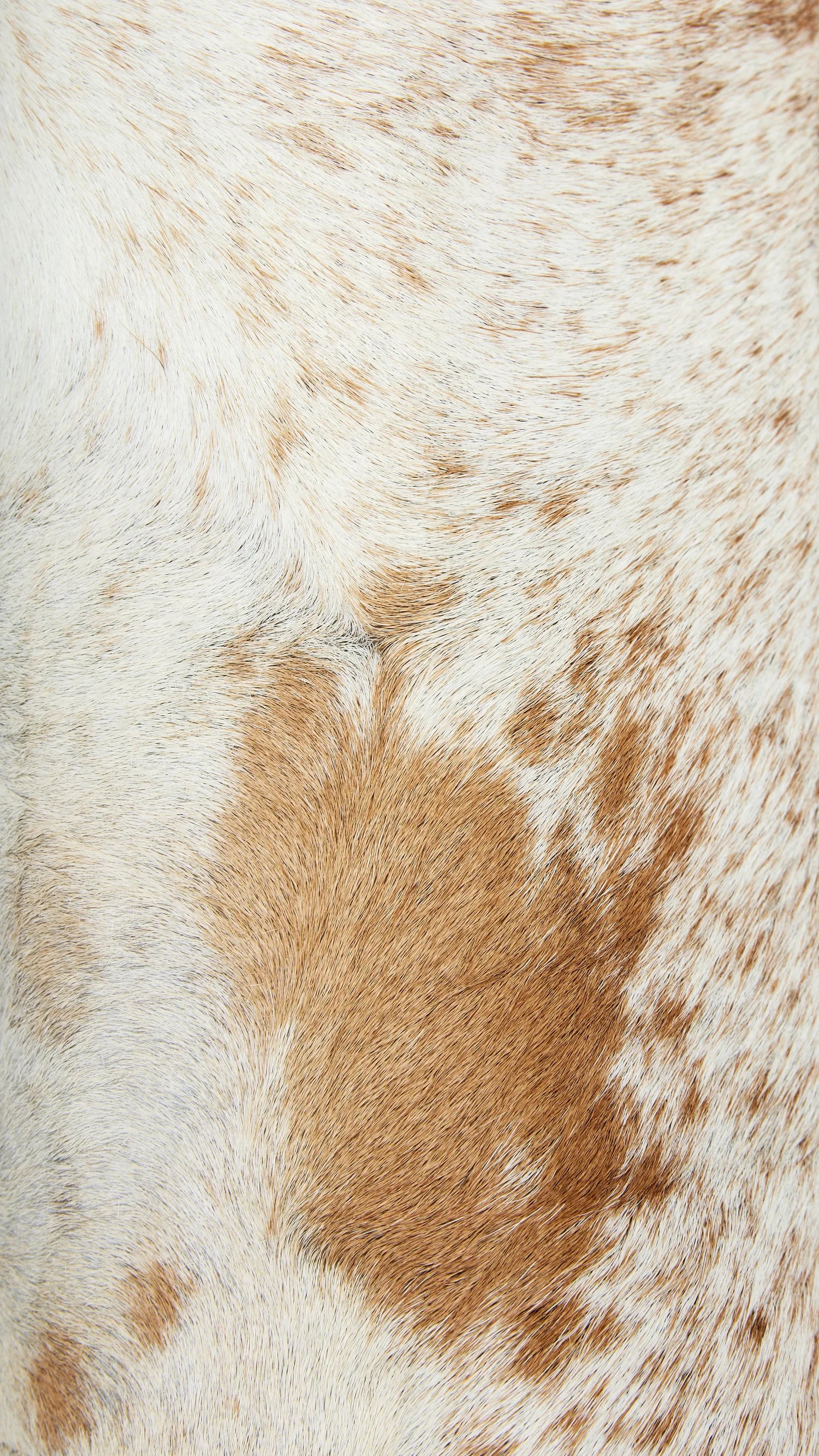 Americana Headcovers