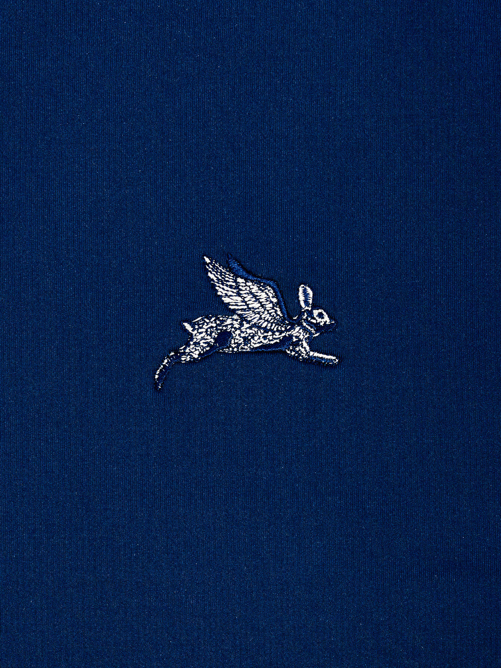 The Family Fliers Hoodie