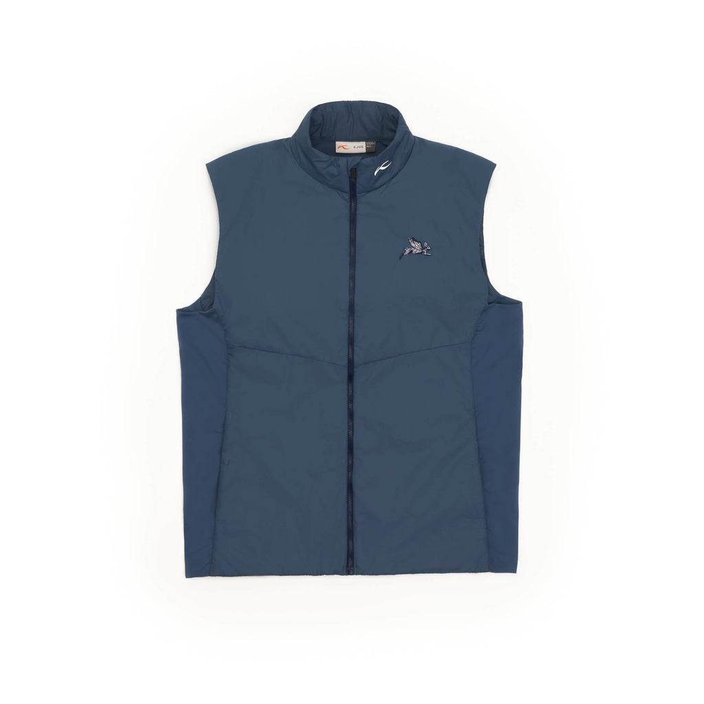 The Men's Firn Vest